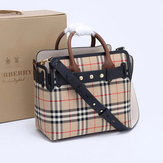 The Belt Mini Vintage check Bag